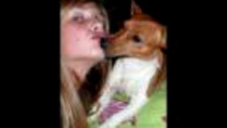 Foxxy : - *