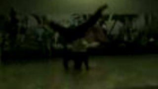BREAKDANCE ženy - B Girl Jeskilz RSC