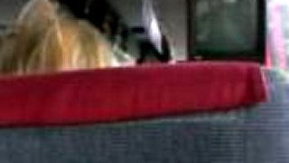 Šofér autobusu skolaboval za volantom