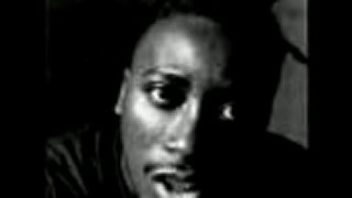 Ol Dirty Bastard - Wasted Time