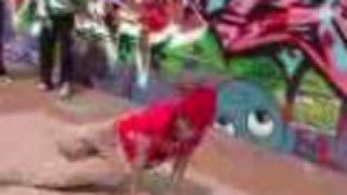 BREAKDANCE žENY - Bgirl Peppa