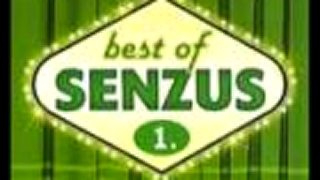 Senzus - Pijácka zmes