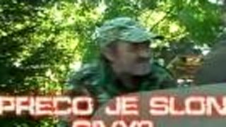 Prečo je slon sivý?