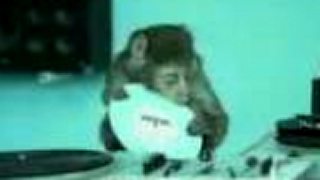 Basement Jaxx - Where's yours head at