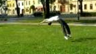 Freerun 2