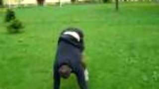 Mercak continues - freerun - spring 2010