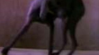 New Order - Blue Monday