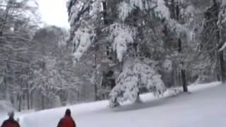 Explózia
