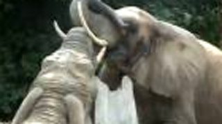 ZOO Bojnice
