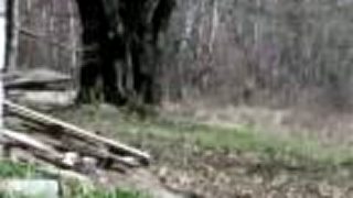 Airsoft Veľká Lehota