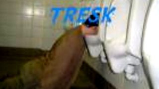 DISCOTRESKA - LETANOVCE - 29.5.2010