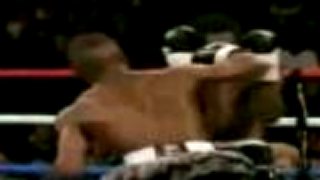 Floyd Mayweather Jr 