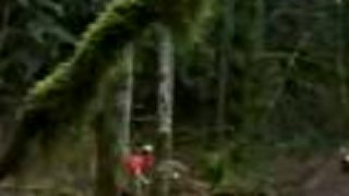 Darren Berrecloth ROAM