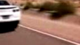 Camaro 2010 SS