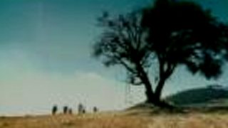 RBD - Celestial