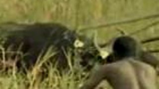 Takýmto sposobom si domorodý afričania obstarávajú potravu