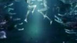 Pendulum  ft. In Flames: "Self vs Self"