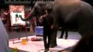 Marika Gombítová - Cirkusový kôň