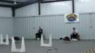 Ace Flyball alebo nebezpečná rýchlosť : - )