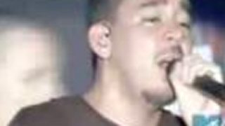 Fort Minor feat Chester Bennington - Where'd You Go (live)