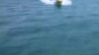 Baywatch - Pobrežná hliadka (1989 - 2001)