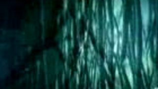 Fringe intro