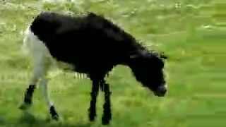 Najhrôzostrašnejšie zamékanie