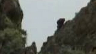Sniper kill