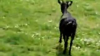 18-násty máj v zoo