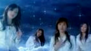 Heartful Sugar - Heartful