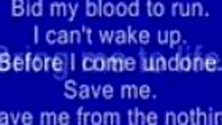 Evanescence - Bring me to life + text