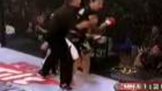 Ženy v MMA