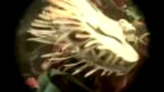 Jungle Drum