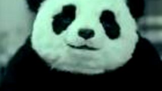 Never say no to a PANDA !!!