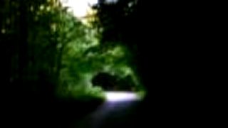 Back road wanderer