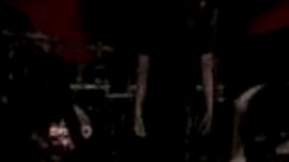 NETHERBIRD - The Blackest Breed