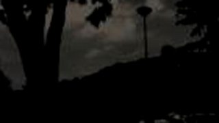 Best flips of 2010 (freerun)