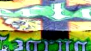 Best of Kibice 2010
