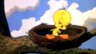 Tweety a Sylvester 2