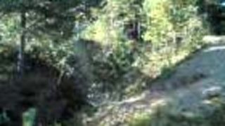 Bike2