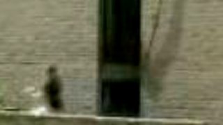 Parkour & Freerun