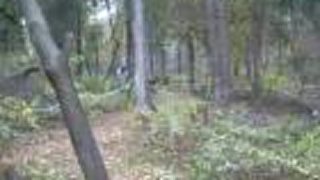 Trailer - Fr Sp. Vlachy
