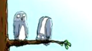 The Owls Head Rotation