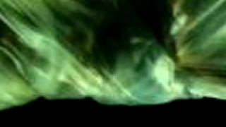 DYING FETUS - Shepred´s Commandment