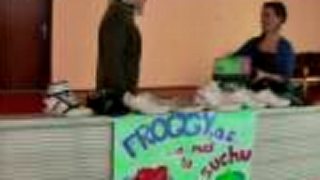 FROGGY, a. s.