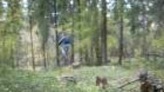 Freeride Sp.Vlachy