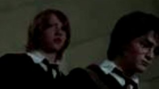 Harry Potter a remix smrti