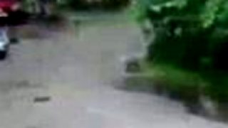 2 minútové dvíhanie tašky