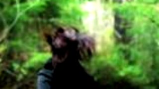 Jasper Forks - River Flows In You (Eclipse Vocal Mix)