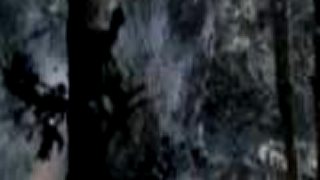 Band of brothers - Bastogne